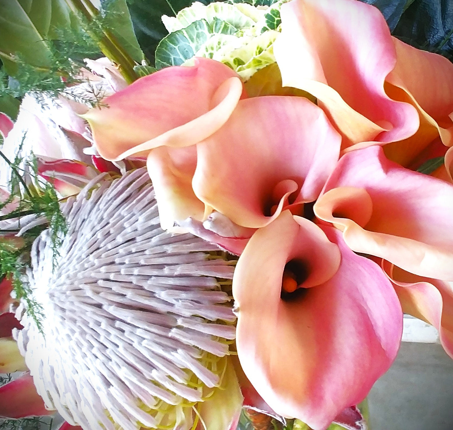 Protea - Parisian Posy (Subject To Availability)