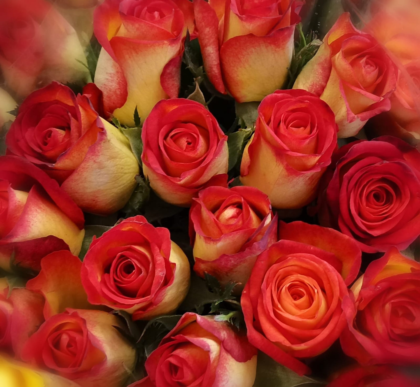 Classic Orange Coloured Rose Bunch