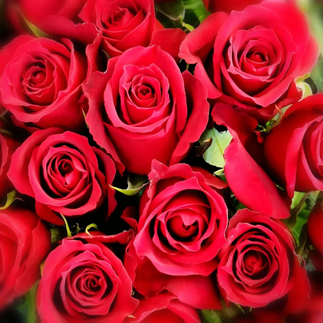 Classic Red/Red Variegated Rose Bunch