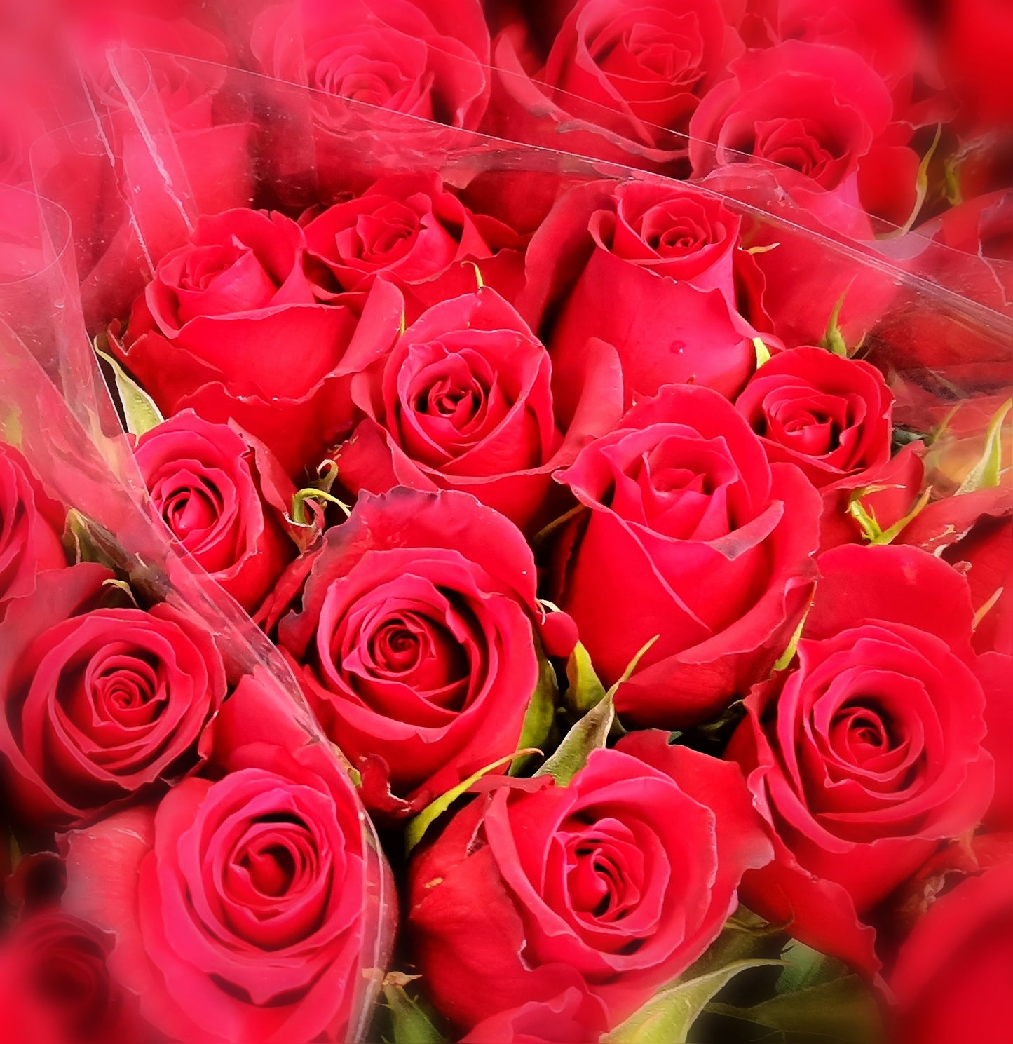 Classic Red / Red Variegated Rose Bunch