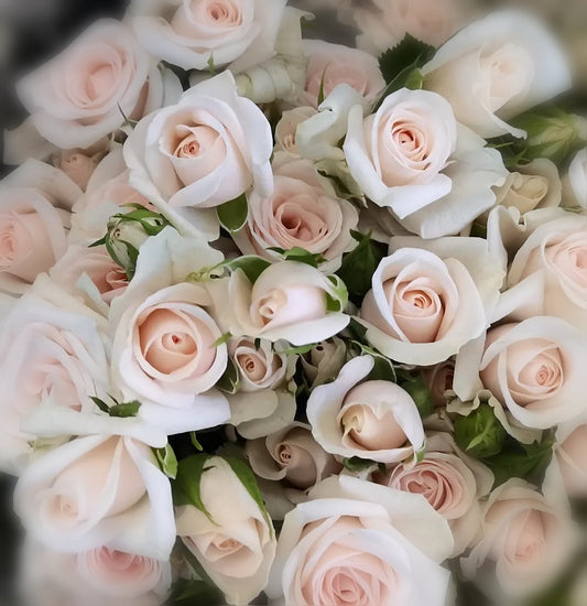 Classic Peach/Apricot/Coral Rose Bunch