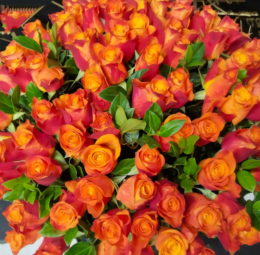 Rose Bunches - Orange Coloured Rose Bunches - Classic