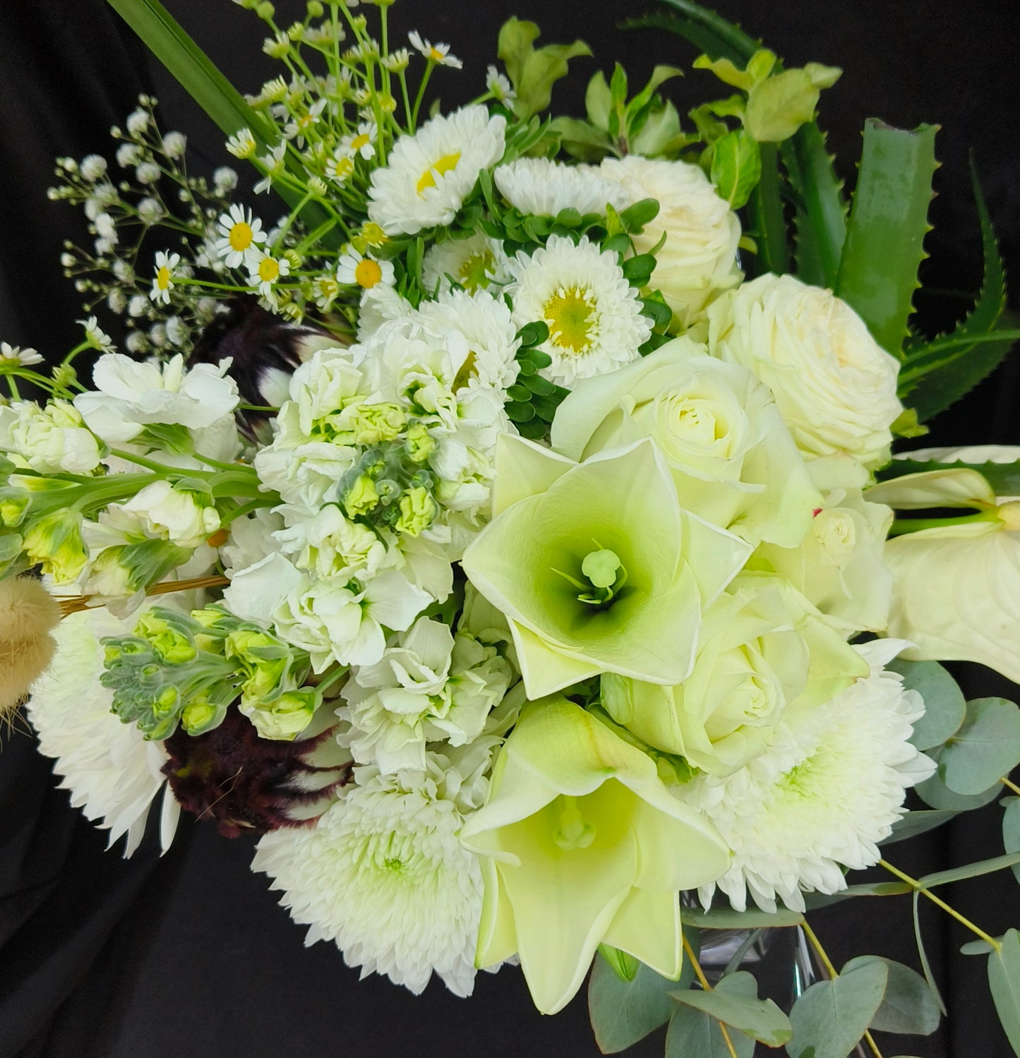 White/Cream Coloured Parisian Posy