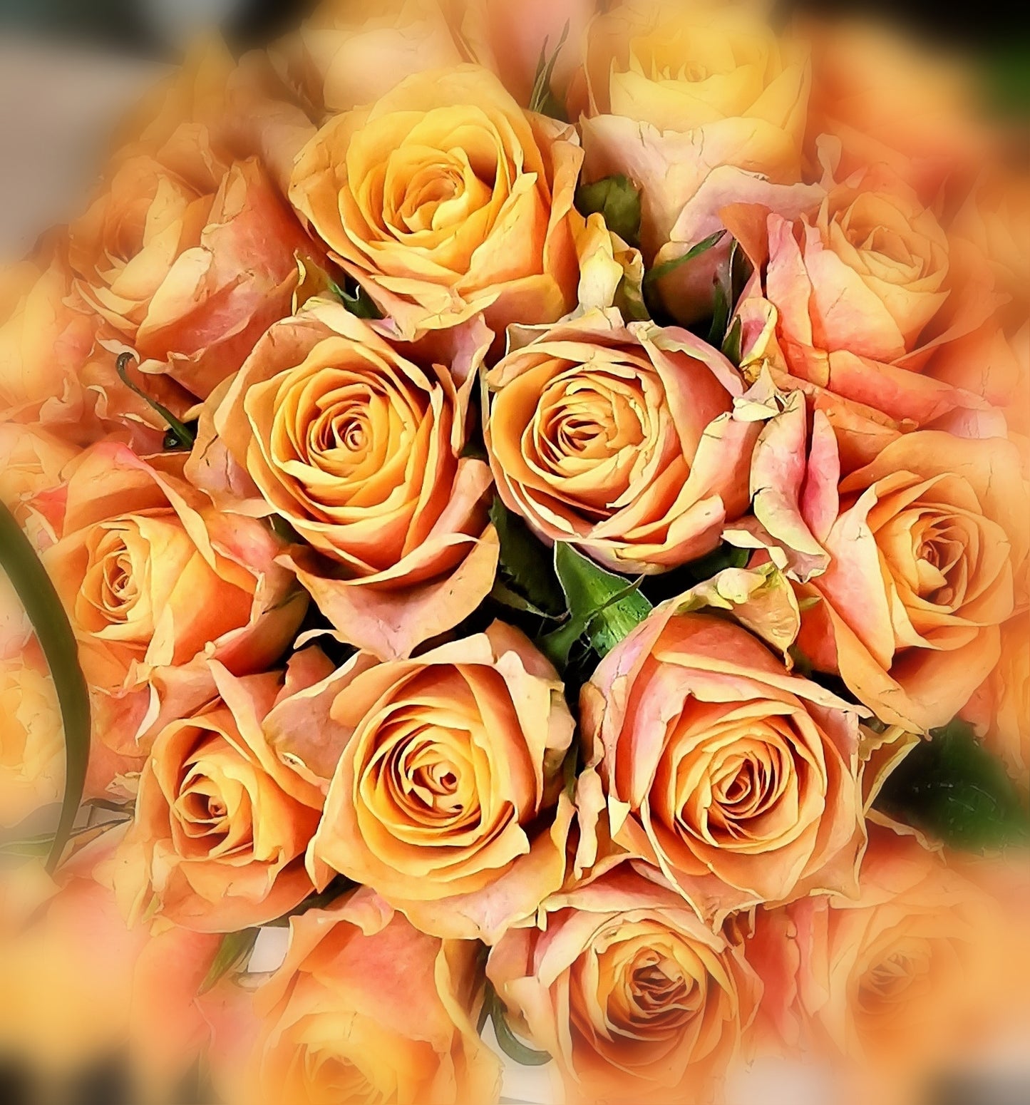 Classic Peach/Apricot/Coral Rose Bunch