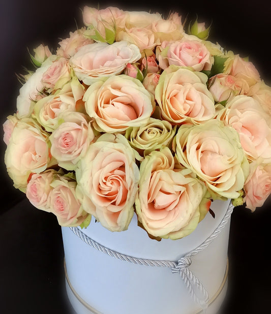 Hat Box - Peach Apricot Coral Coloured Hat Boxes