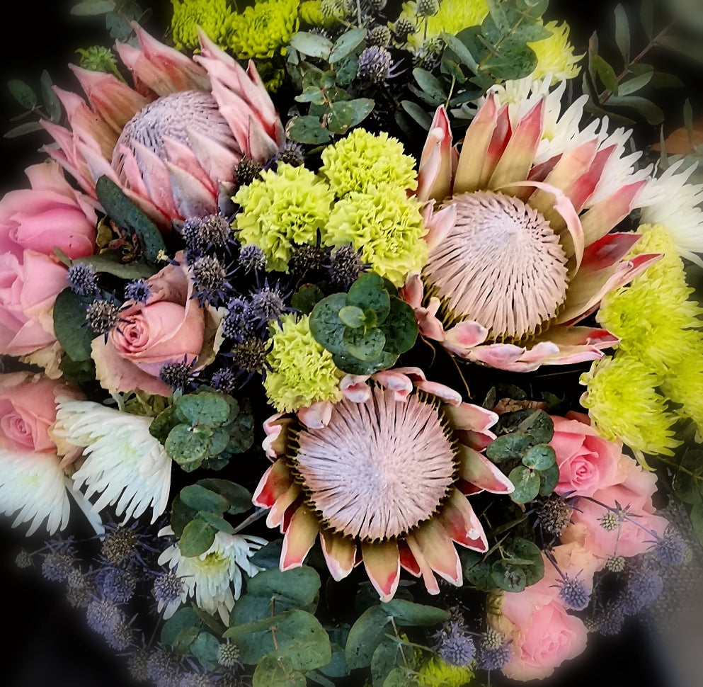 Protea - Hostess Bunch (Subject To Availability)