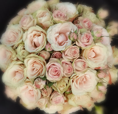 Pink/Lavender/Lilac Coloured Classic Rose Bunch