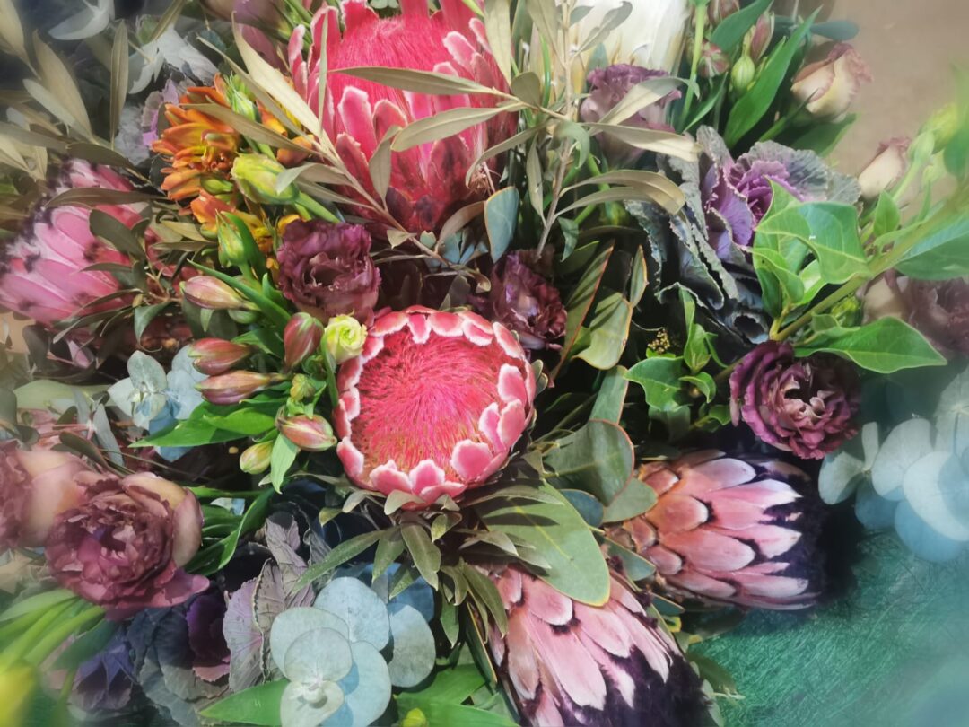 Protea - Hostess Bunch (Subject To Availability)