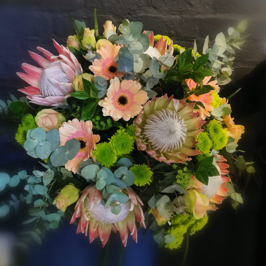 Protea - Hostess Bunch (Subject To Availability)