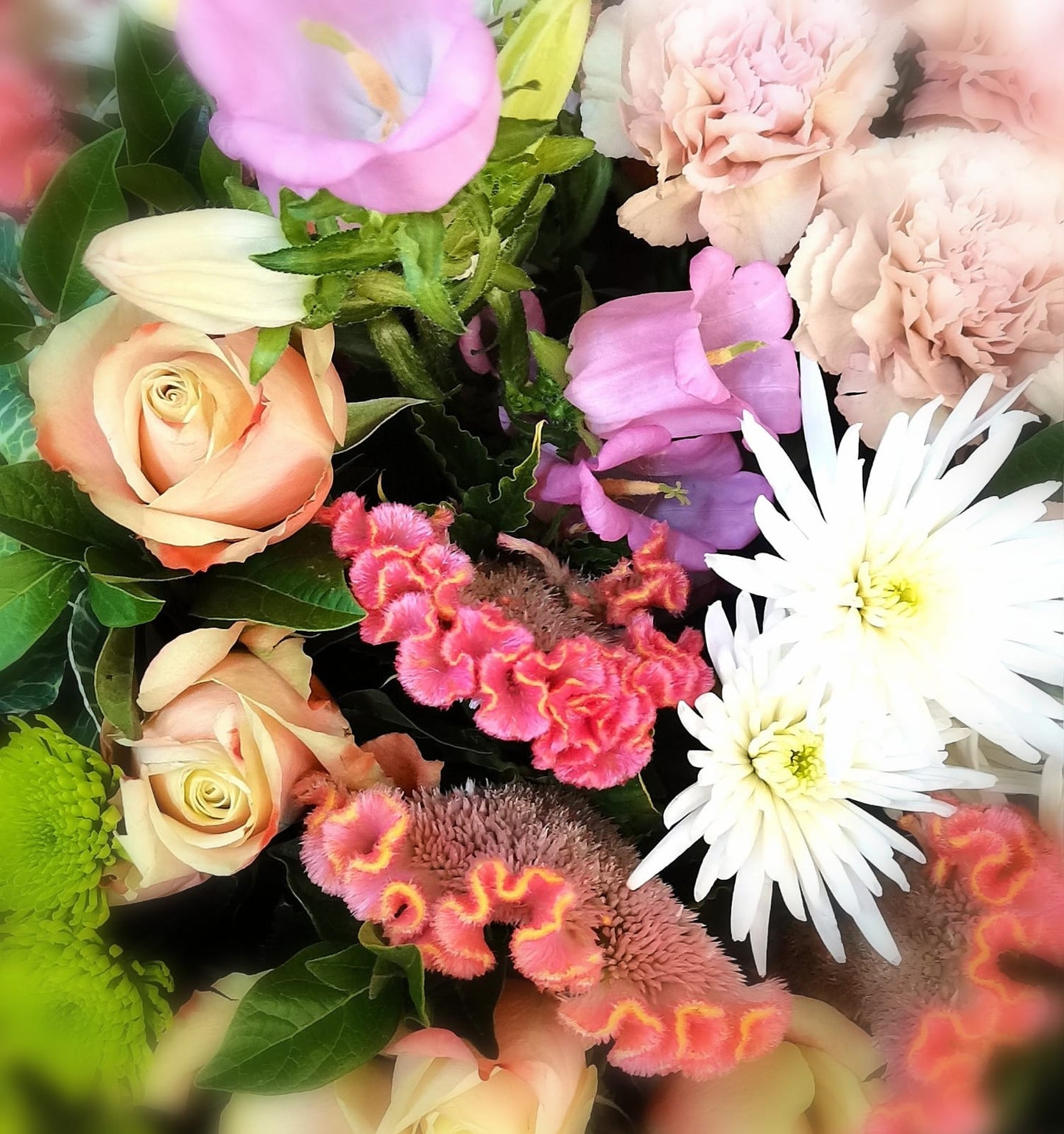 Pink/Lavender/Lilac Coloured Hostess Bunch