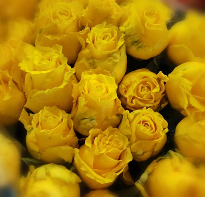 Classic Yellow Coloured Rose Bunch