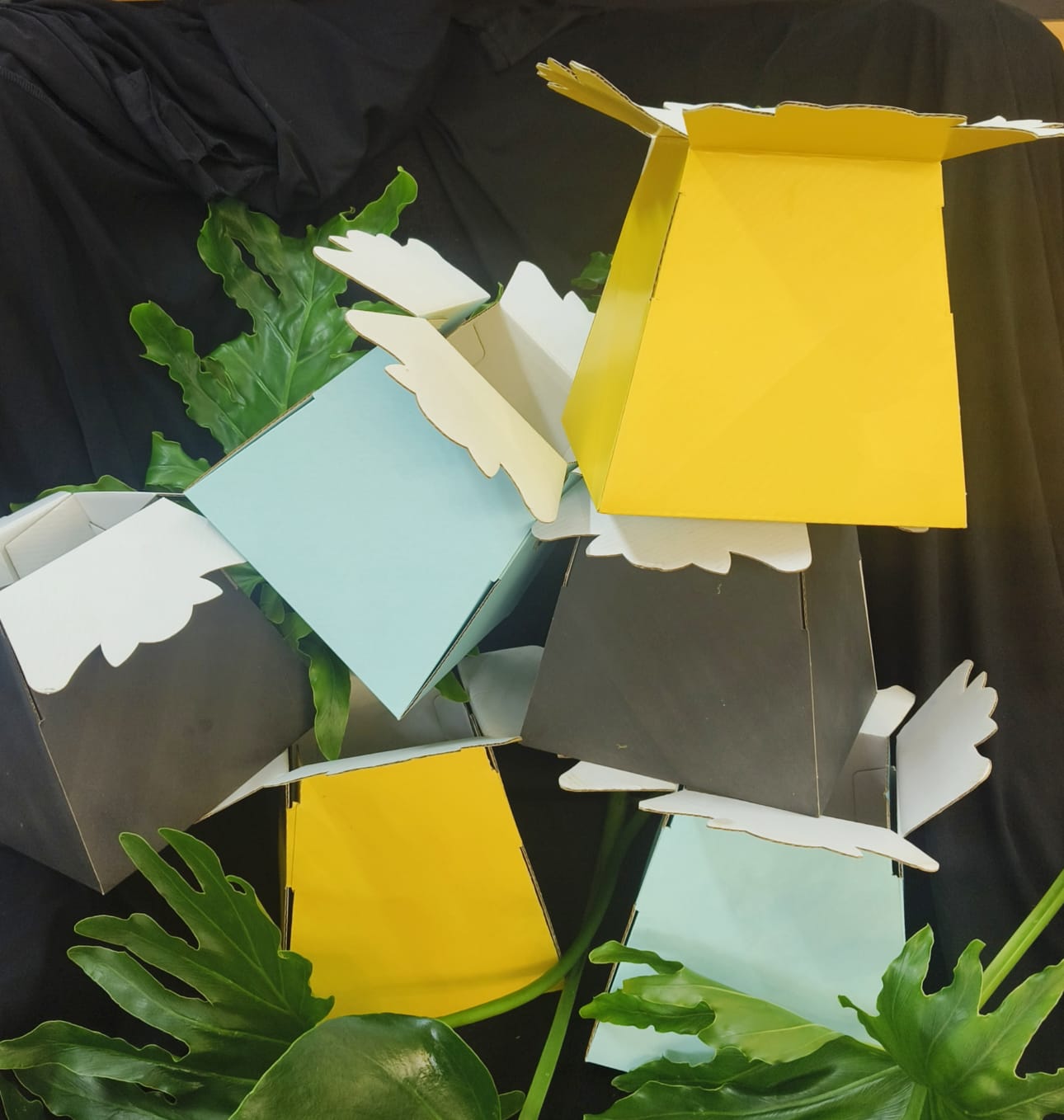 Parisian Posy Flower Box in Pretoria | Luxury Fresh Cut Containers