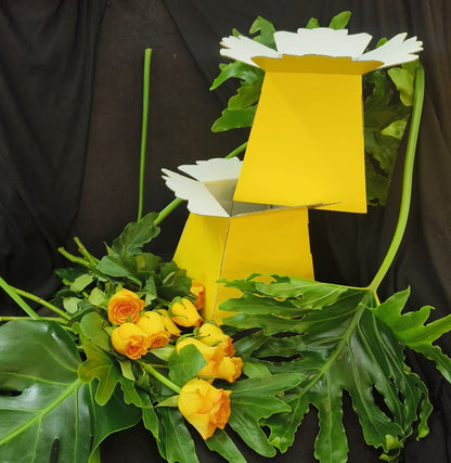 Parisian Posy Flower Box in Pretoria | Luxury Fresh Cut Containers