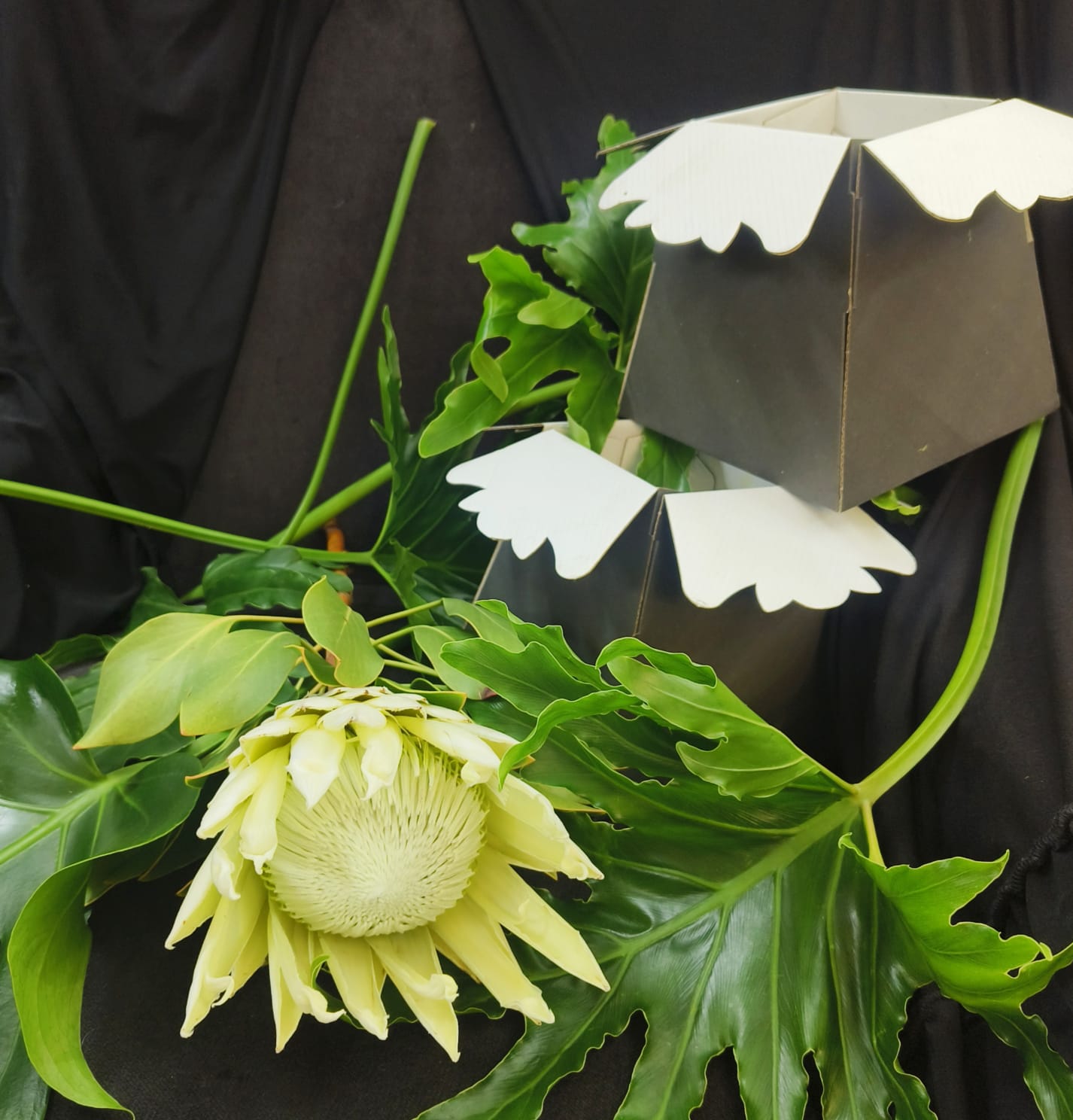 Parisian Posy Flower Box in Pretoria | Luxury Fresh Cut Containers