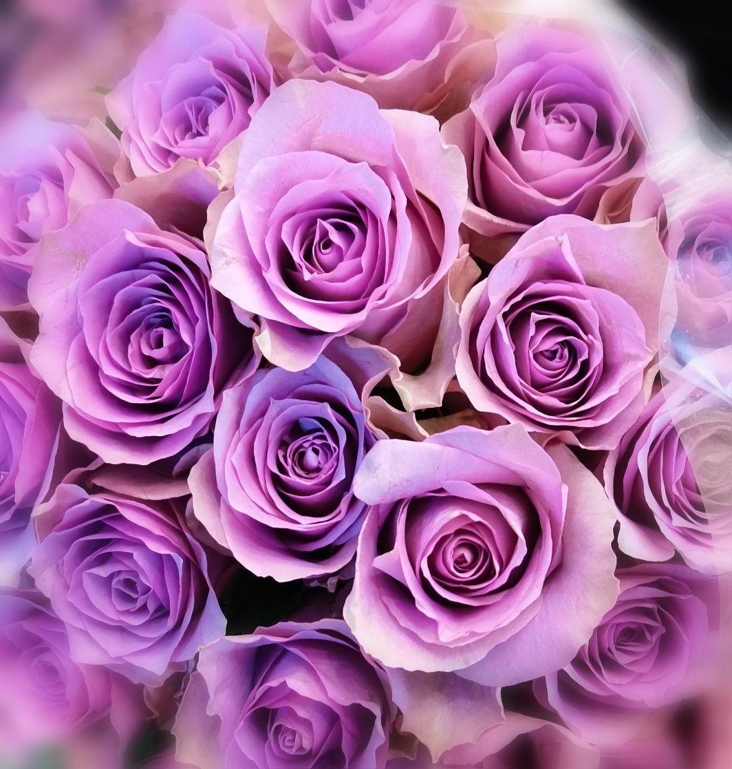 Classic Pink/Lavender/Lilac Coloured Rose Bunch