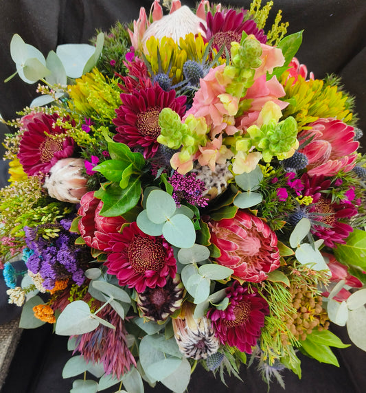 Protea - Hostess Bunch (Subject To Availability)