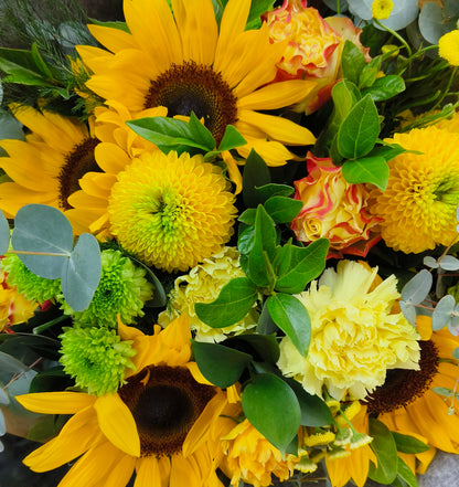 Yellow Coloured Hostess Bunch